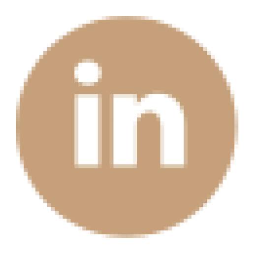 LinkedIn Icon